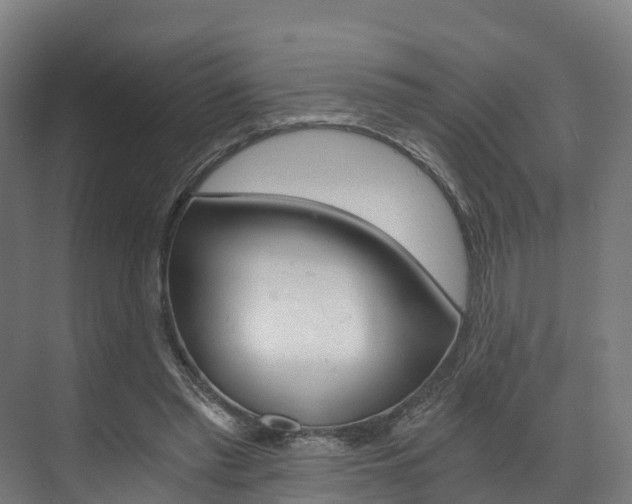 X0000073490397200607310922