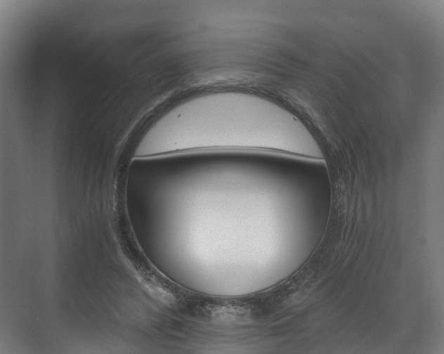 X0000073490400200607310922