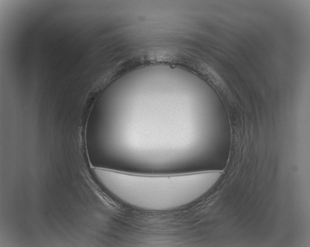 X0000073490401200607310922