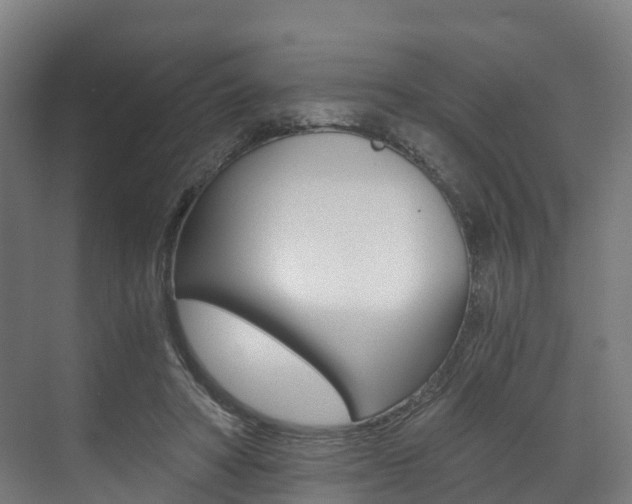 X0000073490402200607310922