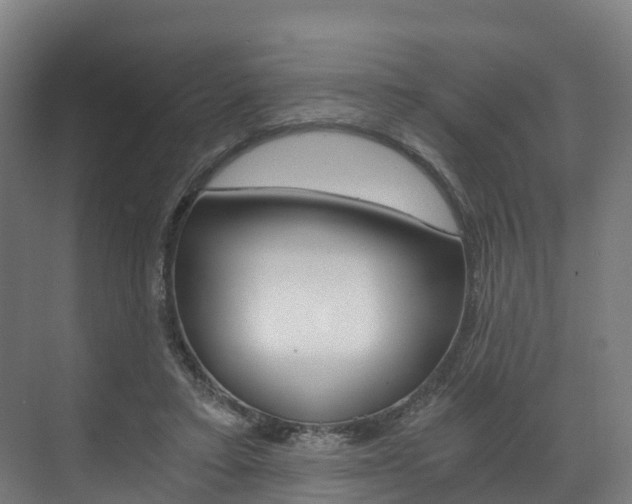 X0000073490403200607310922