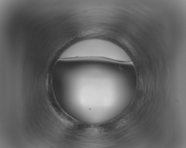 X0000073490404200607310922