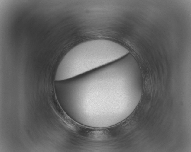 X0000073490406200607310922