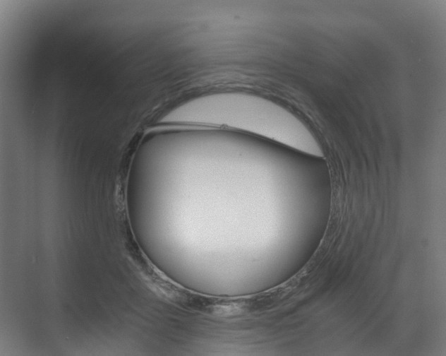 X0000073490411200607310922
