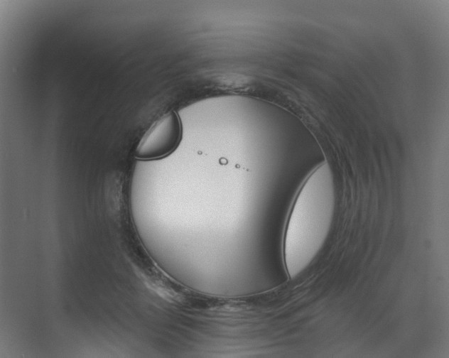 X0000073490412200607310922
