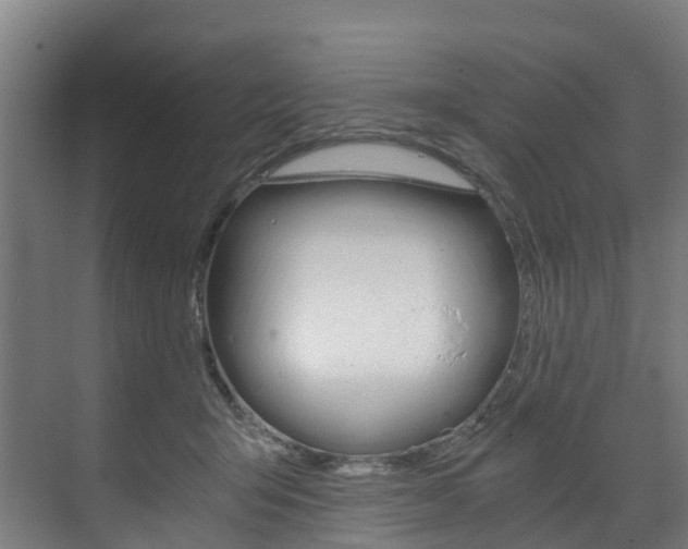 X0000073490415200607310922