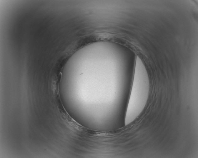 X0000073490417200607310922