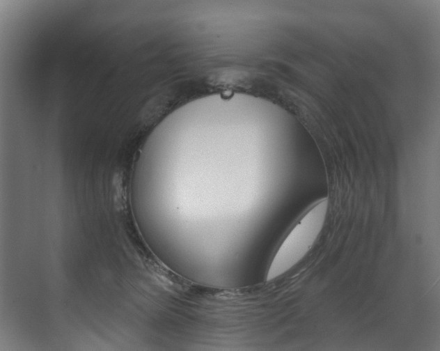 X0000073490420200607310922