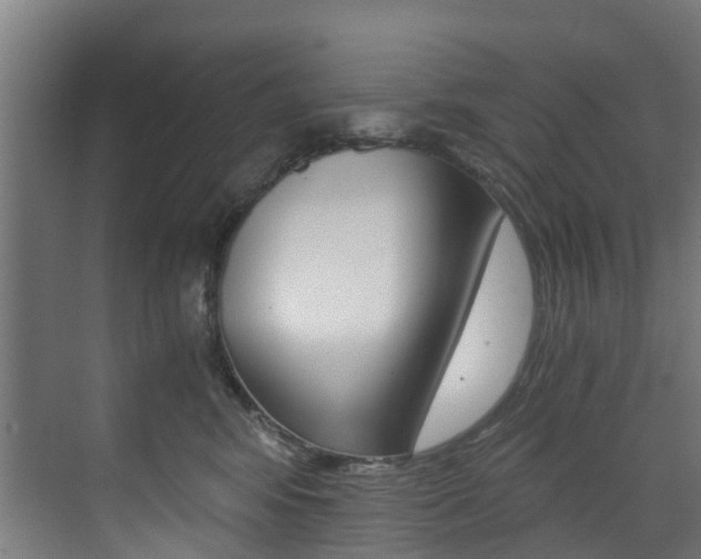 X0000073490424200607310922