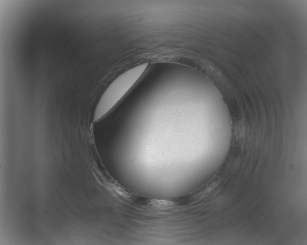 X0000073490429200607310921