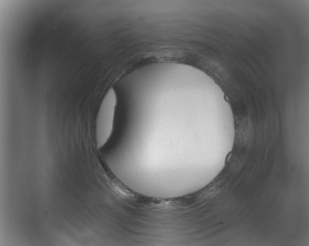 X0000073490430200607310921