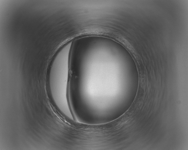 X0000073490434200607310921