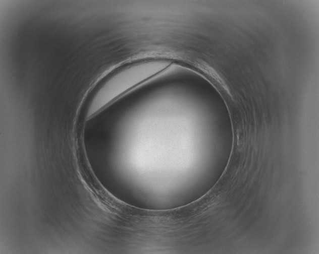 X0000073490436200607310921