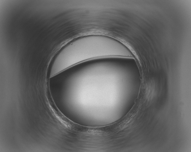 X0000073490437200607310921