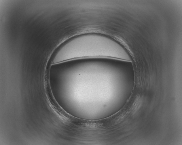 X0000073490439200607310921