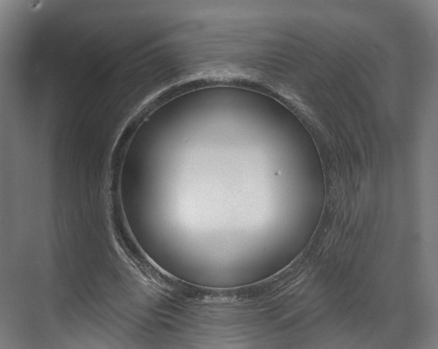 X0000073490440200607310921