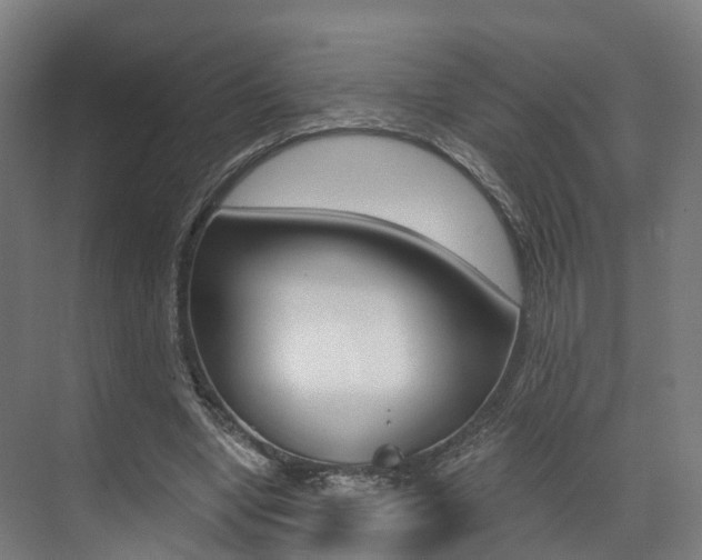 X0000073490442200607310921
