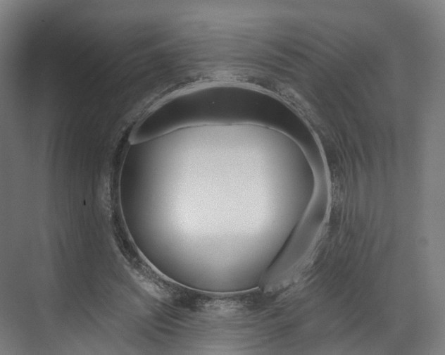 X0000073490444200607310921