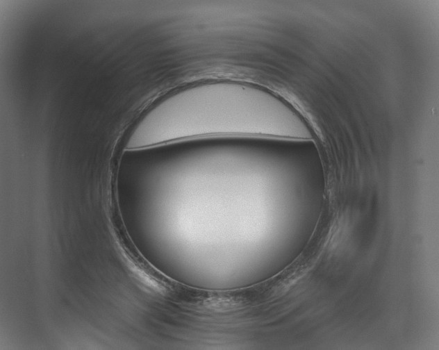 X0000073490445200607310921