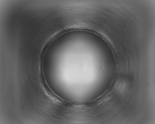 X0000073490446200607310921