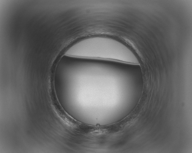 X0000073490447200607310921