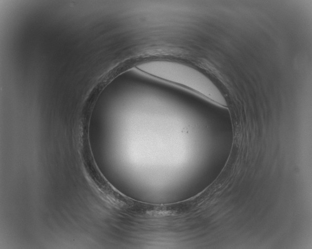 X0000073490448200607310921
