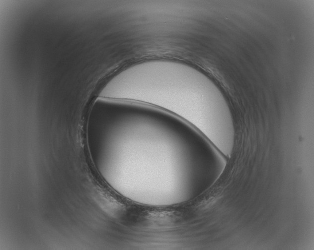 X0000073490450200607310921