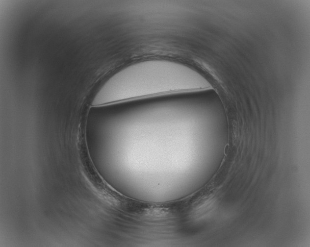 X0000073490451200607310921