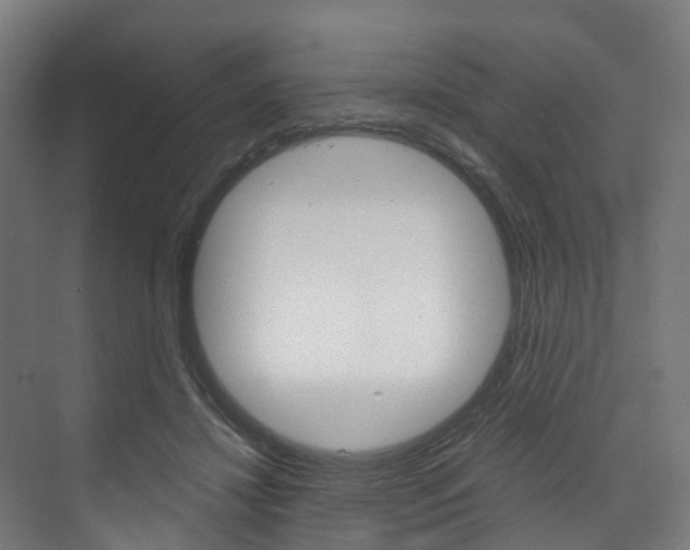 X0000073490452200607310921