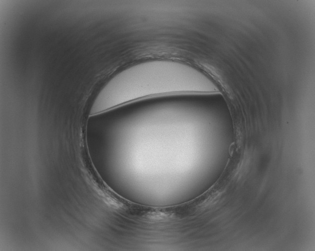 X0000073490453200607310921