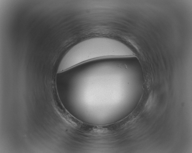X0000073490455200607310921