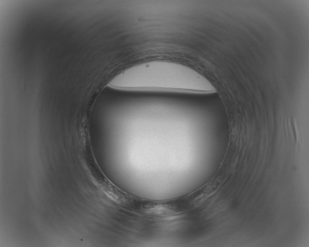 X0000073490460200607310921