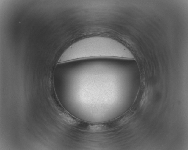 X0000073490461200607310921