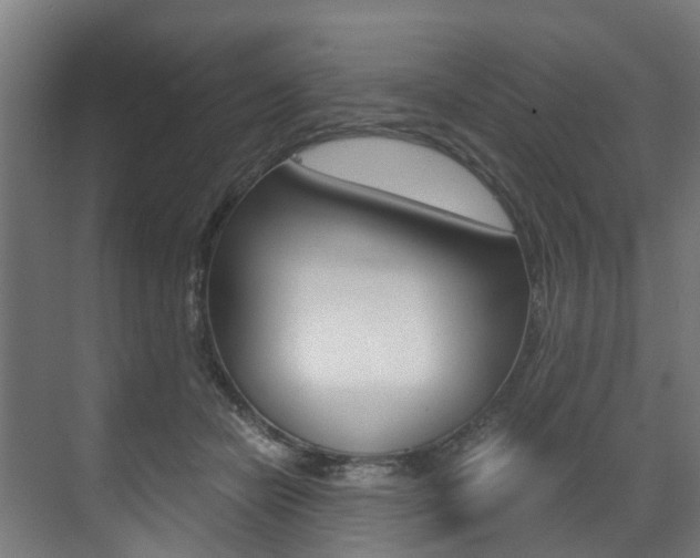 X0000073490462200607310921