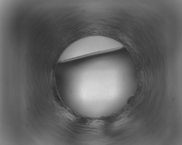 X0000073490463200607310921