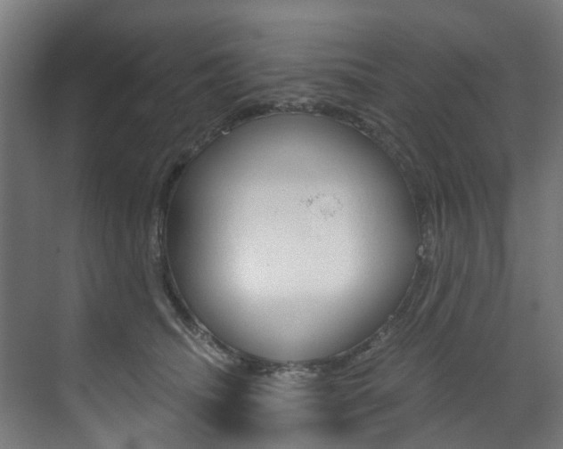 X0000073490468200607310921