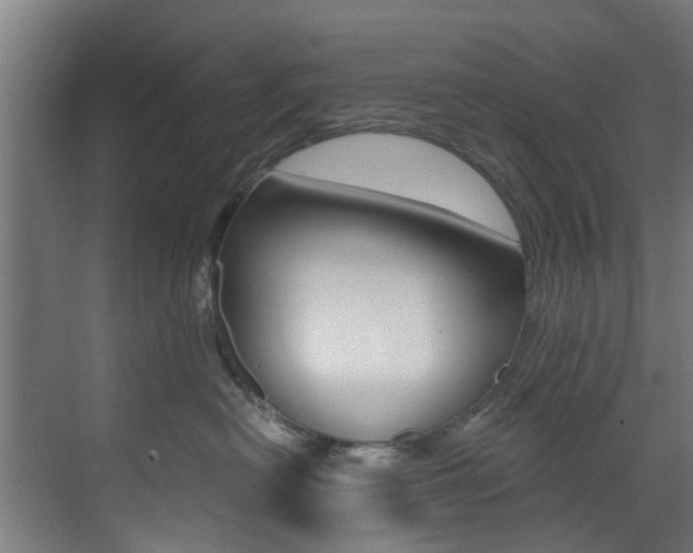 X0000073490478200607310921