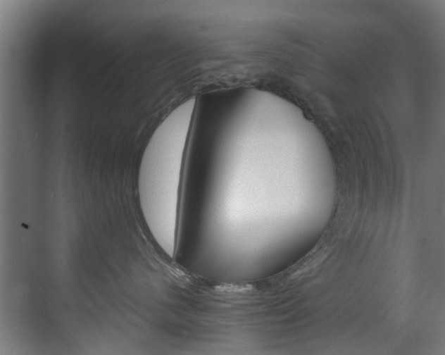 X0000073490480200607310921