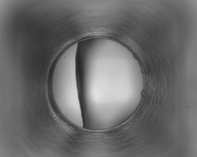 X0000073490482200607310921