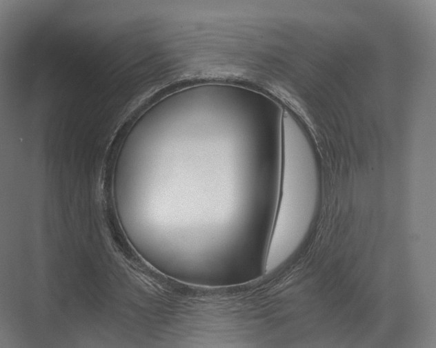 X0000073490483200607310921