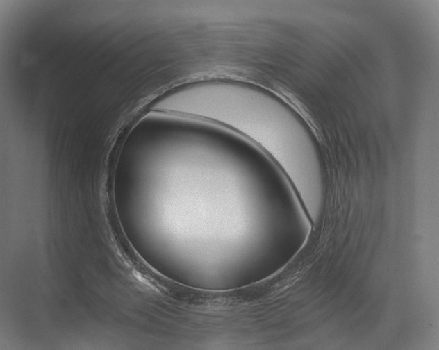 X0000073490485200607310921