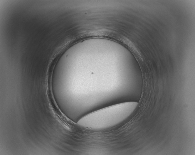 X0000073490486200607310921