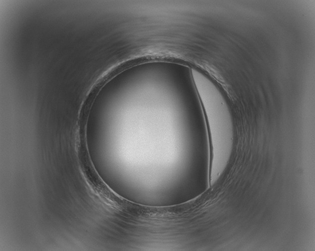 X0000073490488200607310921
