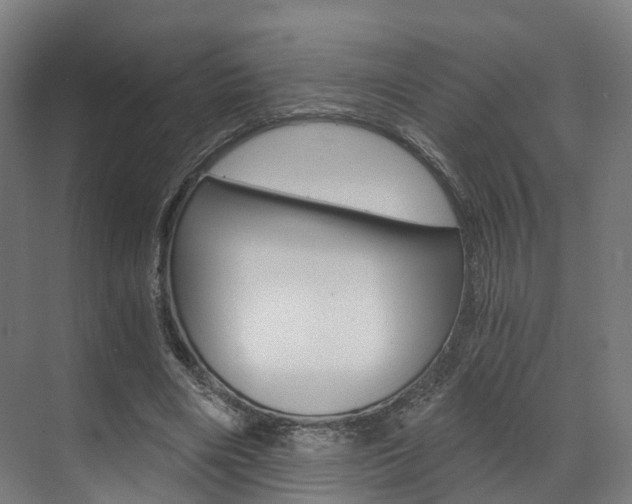 X0000073490490200607310920