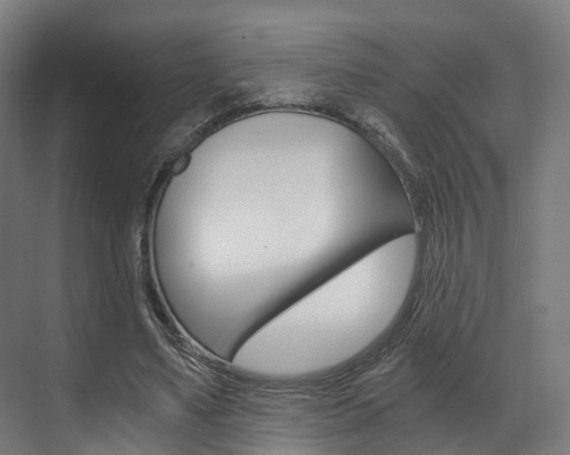 X0000073490491200607310920