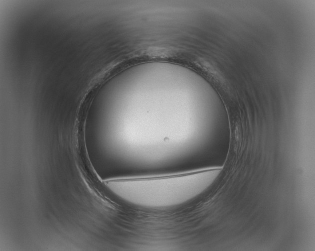 X0000073490492200607310920