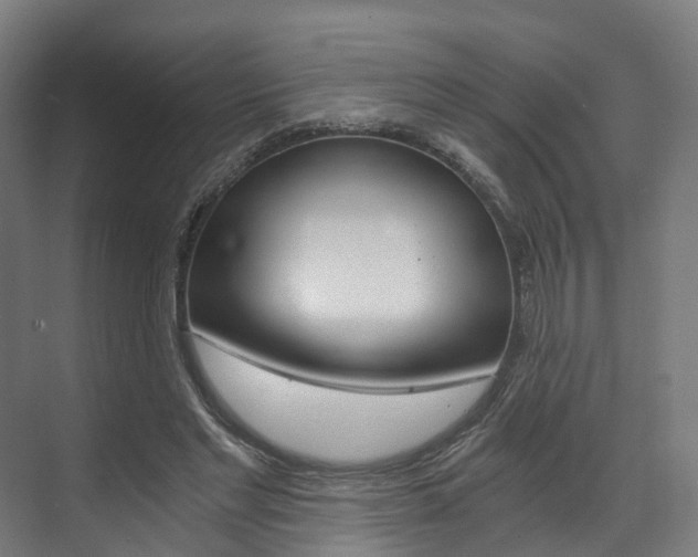 X0000073490493200607310920