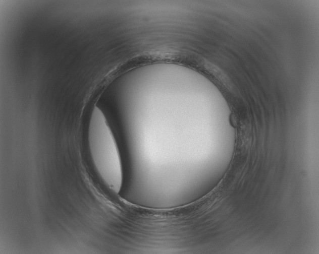 X0000073490494200607310920