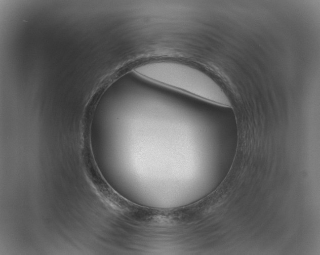 X0000073490496200607310920