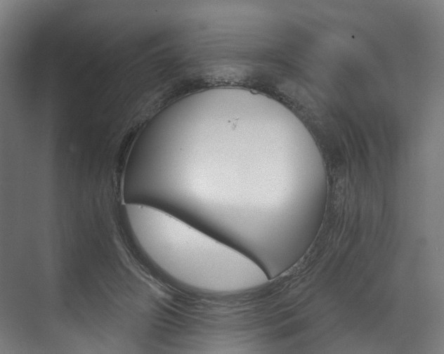 X0000073490498200607310920